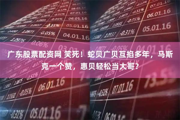 广东股票配资网 笑死！蛇贝广贝互掐多年，马斯克一个赞，惠贝轻松当大哥？